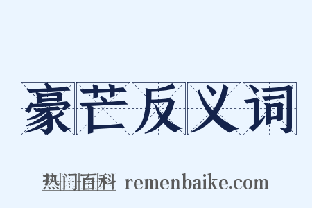 豪芒反义词是什么意思的图片
